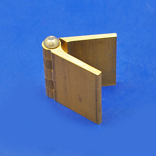 brass door hinge