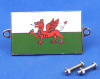 Enamel nationality flag badge / plaque Wales
