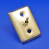 Interior light toggle switch on back plate