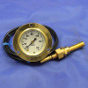 Water Temperature Gauge