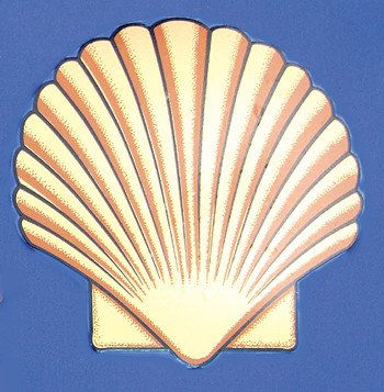 Shell transfers (PAIR)